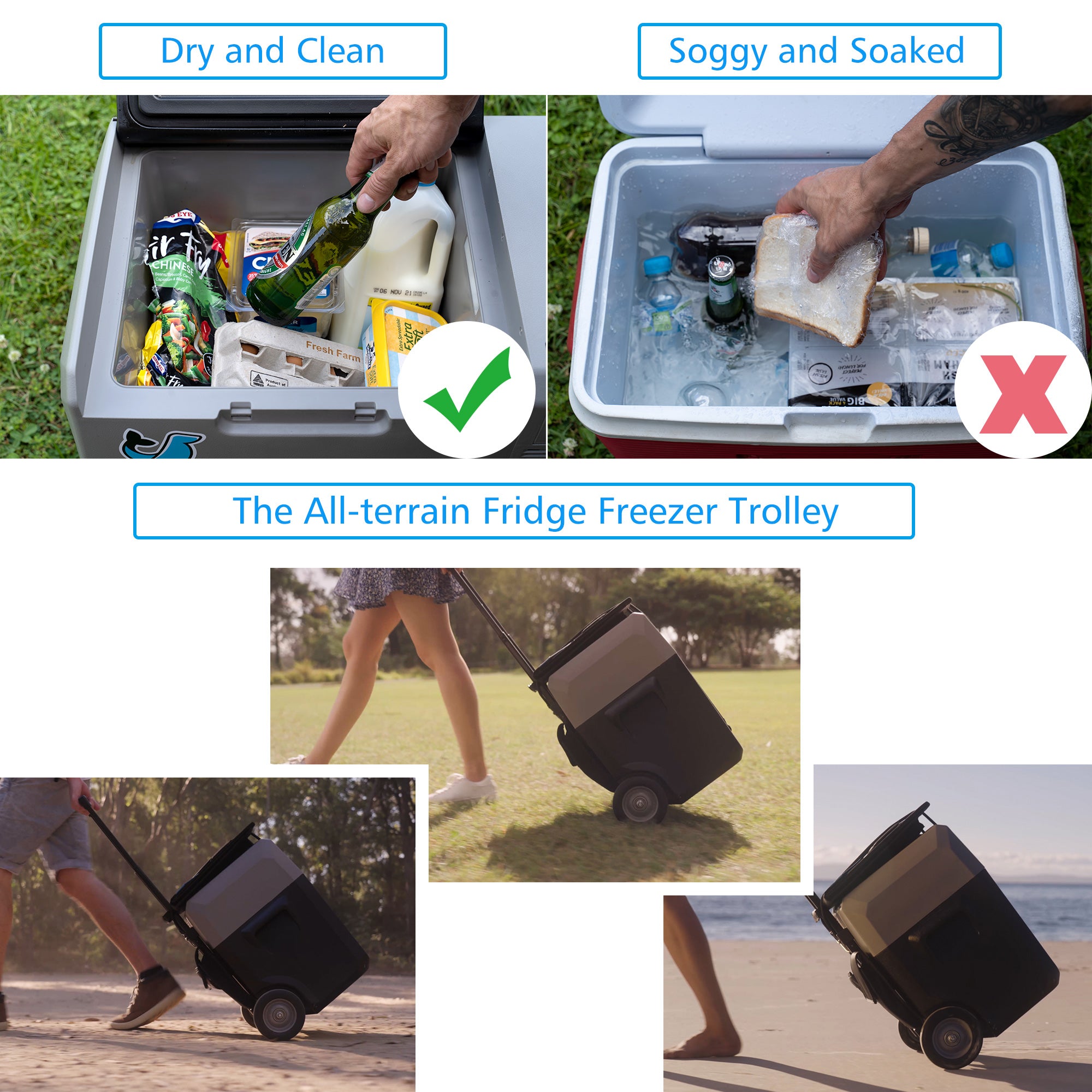 LionCooler Pro Portable Solar Fridge Freezer, 42 Quarts With Battery