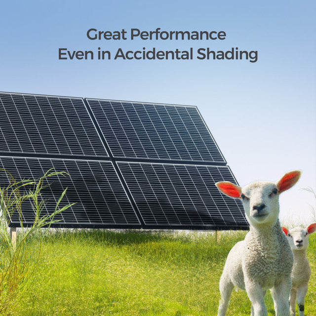 Renogy 320 Watt Monocrystalline Solar Panel, UL Certified